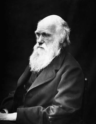 Historical photograph of Charles Darwin, displayed facing right